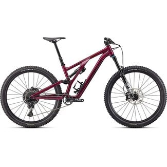 Specialized 2022 Stumpjumper EVO Comp Alloy