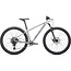 2022 Specialized Rockhopper Expert 29