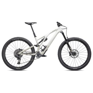 Specialized 2023 Stumpjumper Evo Expert