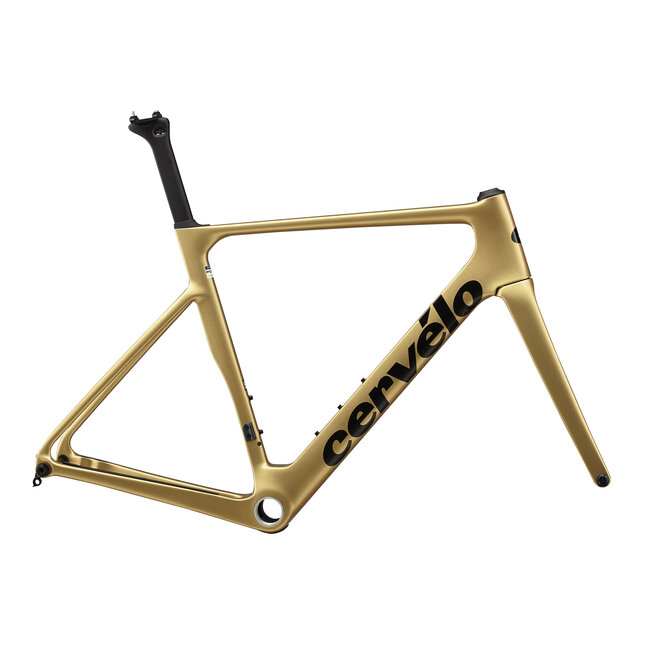 2023 Soloist Frameset - Gold Dust