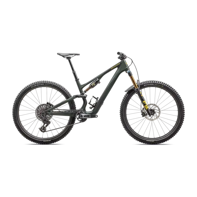 2025 Stumpjumper 15 Pro