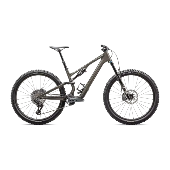 2025 Stumpjumper 15 Expert