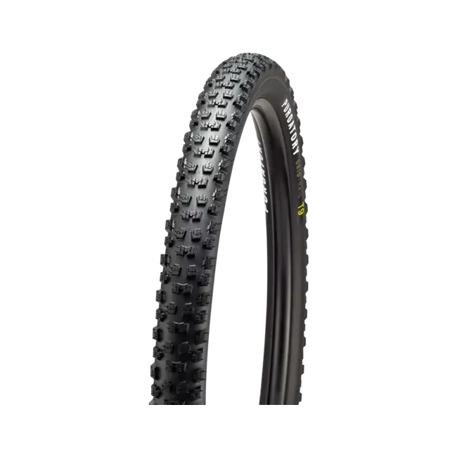 Purgatory Grid Trail 2Bliss Ready T9 29 x 2.4