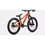 Specialized P.1