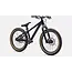 Specialized P.1