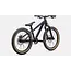 Specialized P.1
