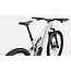 Stumpjumper LTD T-Type Satin Dove Grey / Smoke