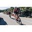 S-Works Tarmac SL8 Team Frameset - SD Worx - Protime