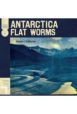 Flat Worms / Antiarctica