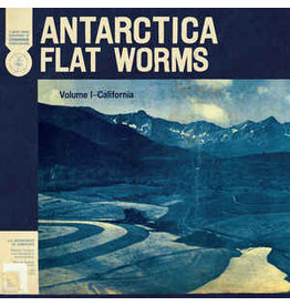 Flat Worms / Antiarctica