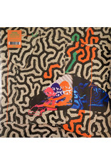 Animal Collective / Tangerine Reef