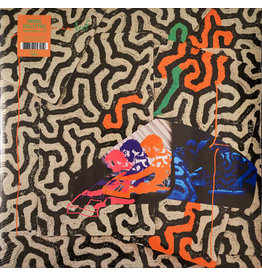 Animal Collective / Tangerine Reef