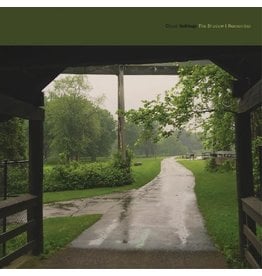 Cloud Nothings / The Shadow I Remember (green vinyl)