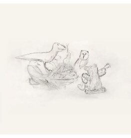 Big Thief / Dragon New Warm Mountain I Believe In You (eco-mix recycled vinyl)