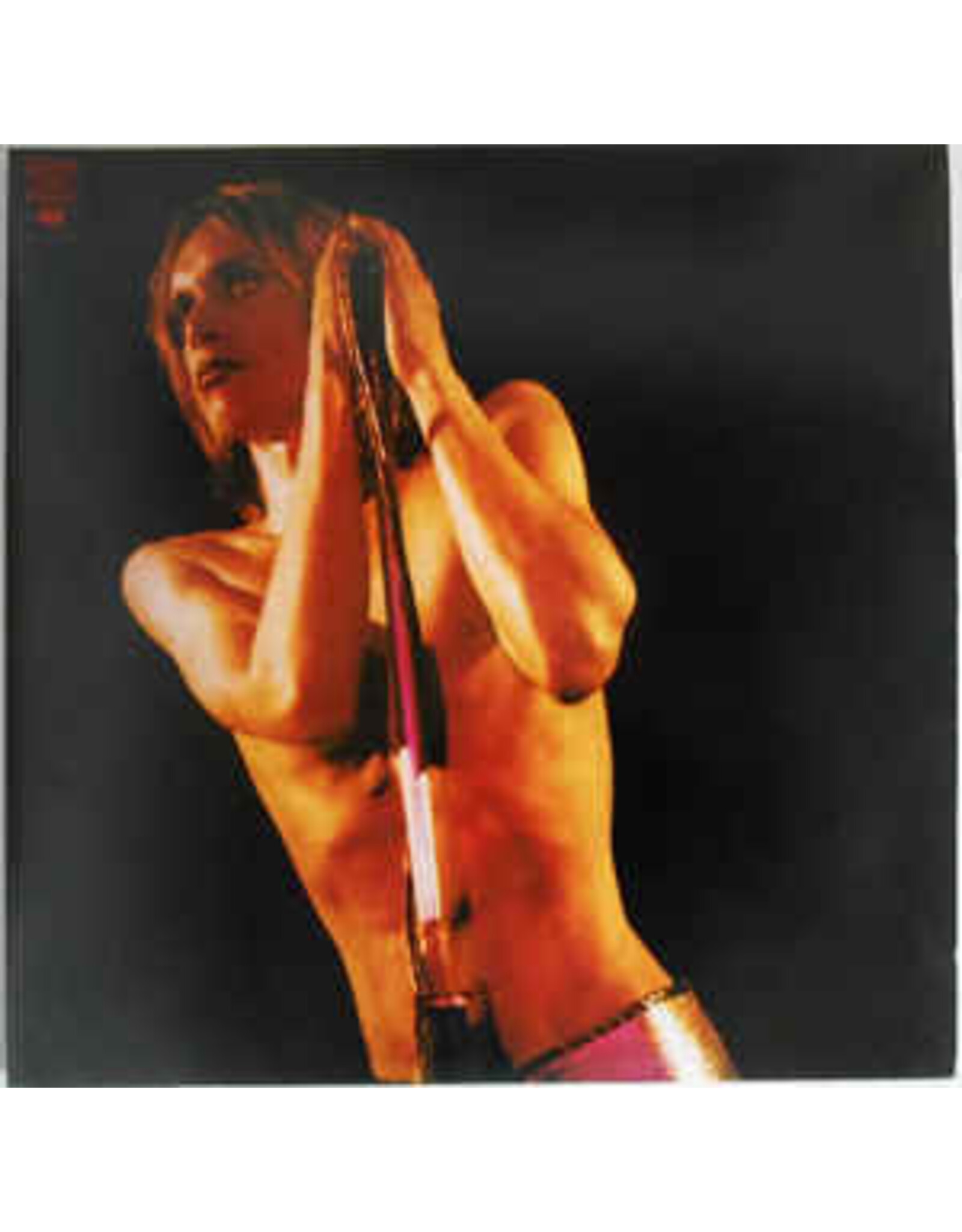 Iggy And The Stooges / Raw Power (2xLP)