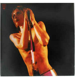 Iggy And The Stooges / Raw Power (2xLP)