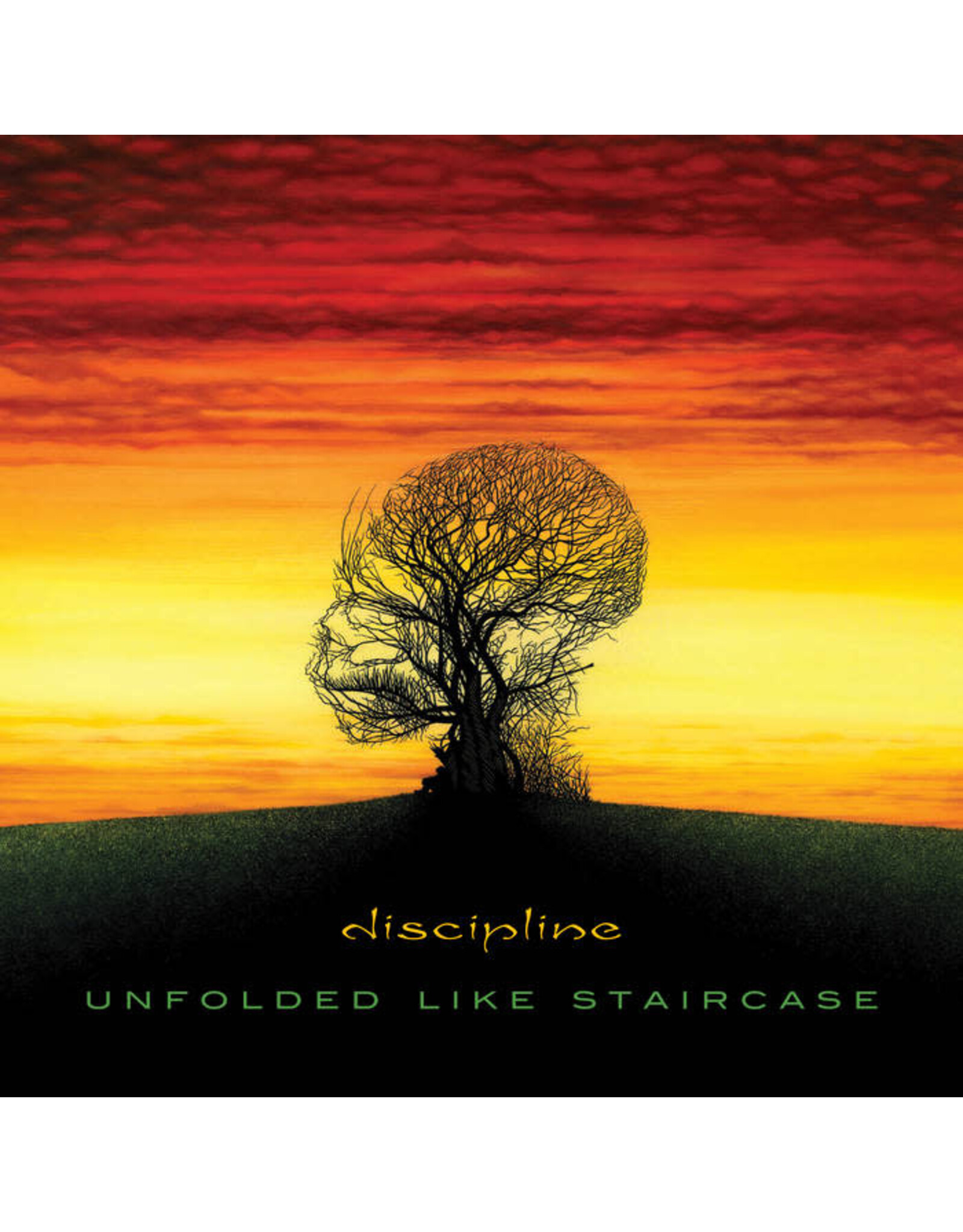 Discipline / Unfolded Like Staircase