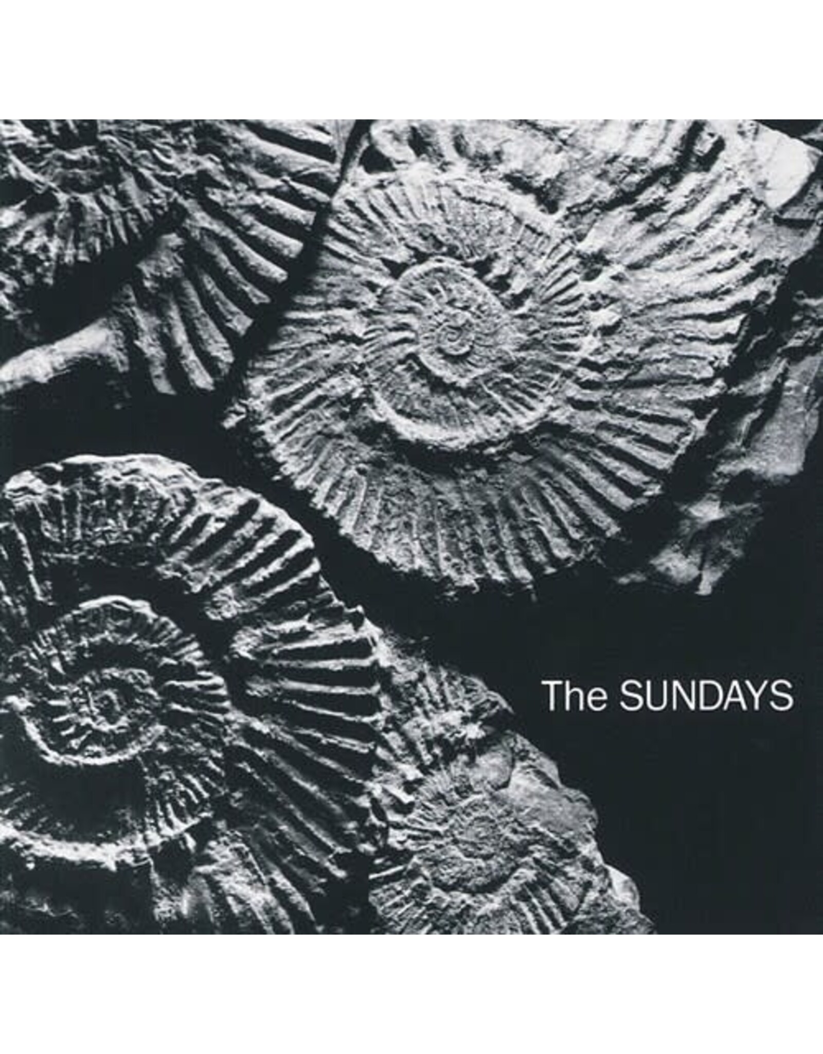 Sundays / Reading, Writing And Arithmetic
