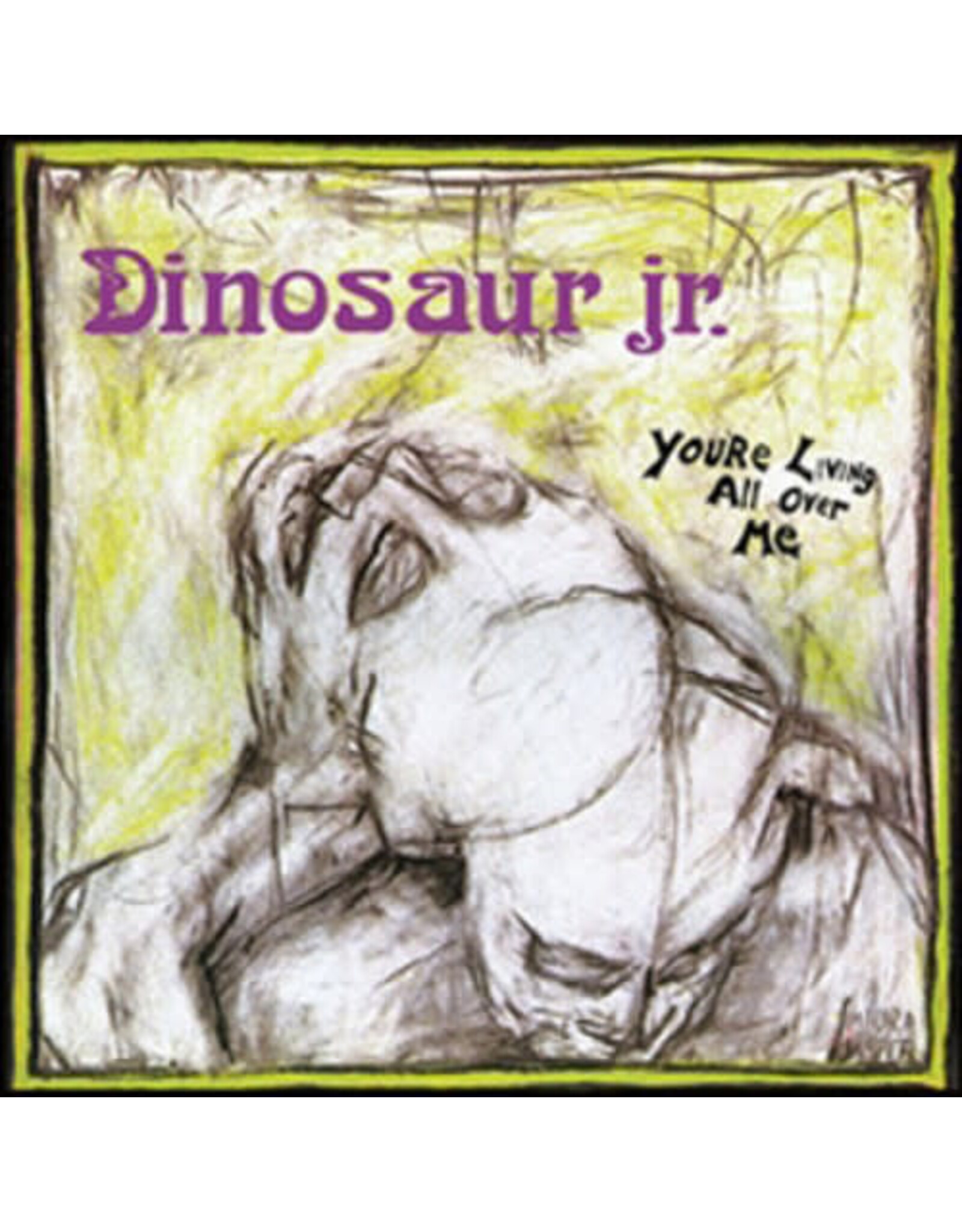 Dinosaur Jr. / You're Living All Over Me
