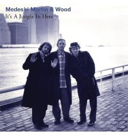 Medeski Martin & Wood ‎/ It's A Jungle In Here