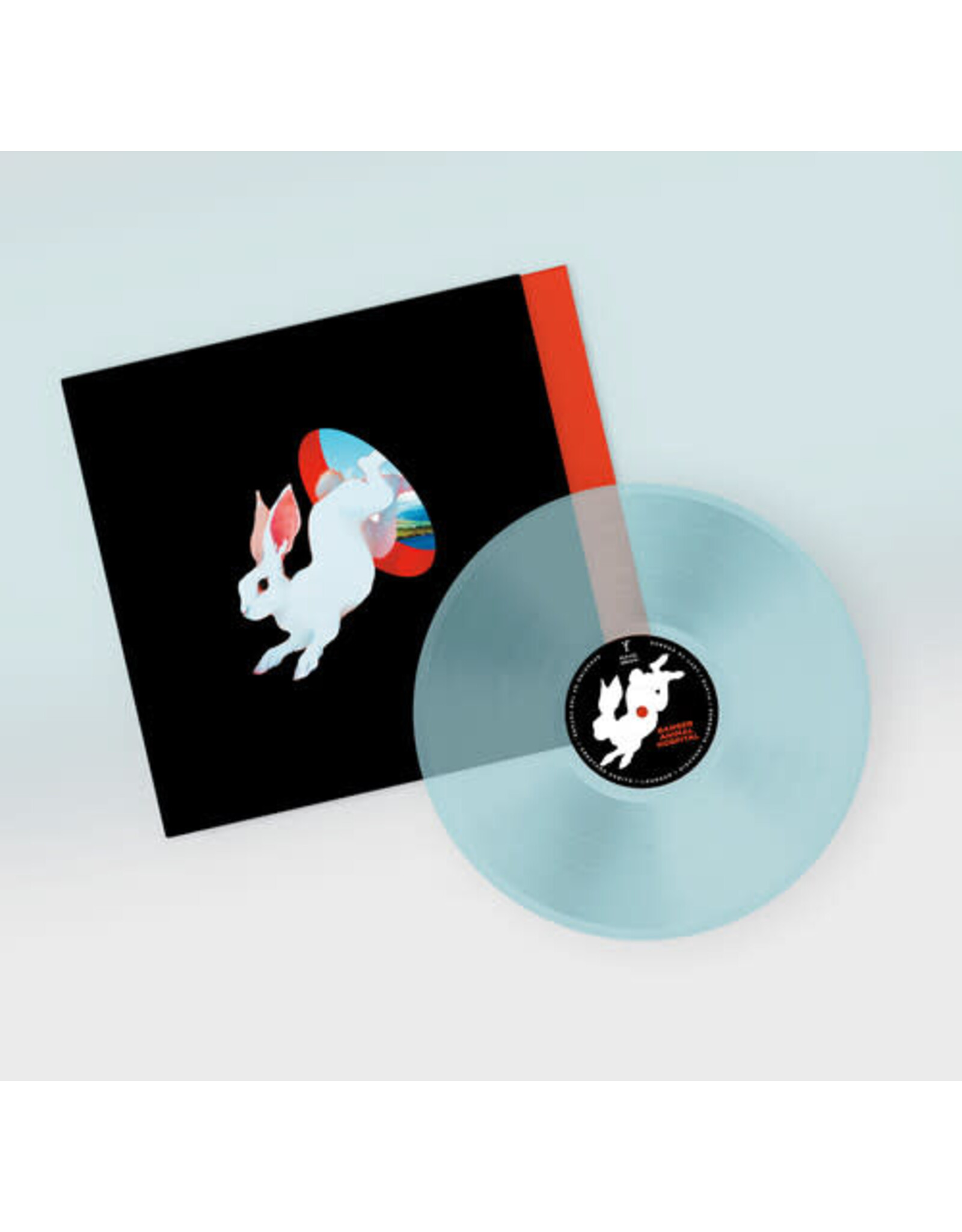 Ganser / Animal Hospital (blue vinyl)