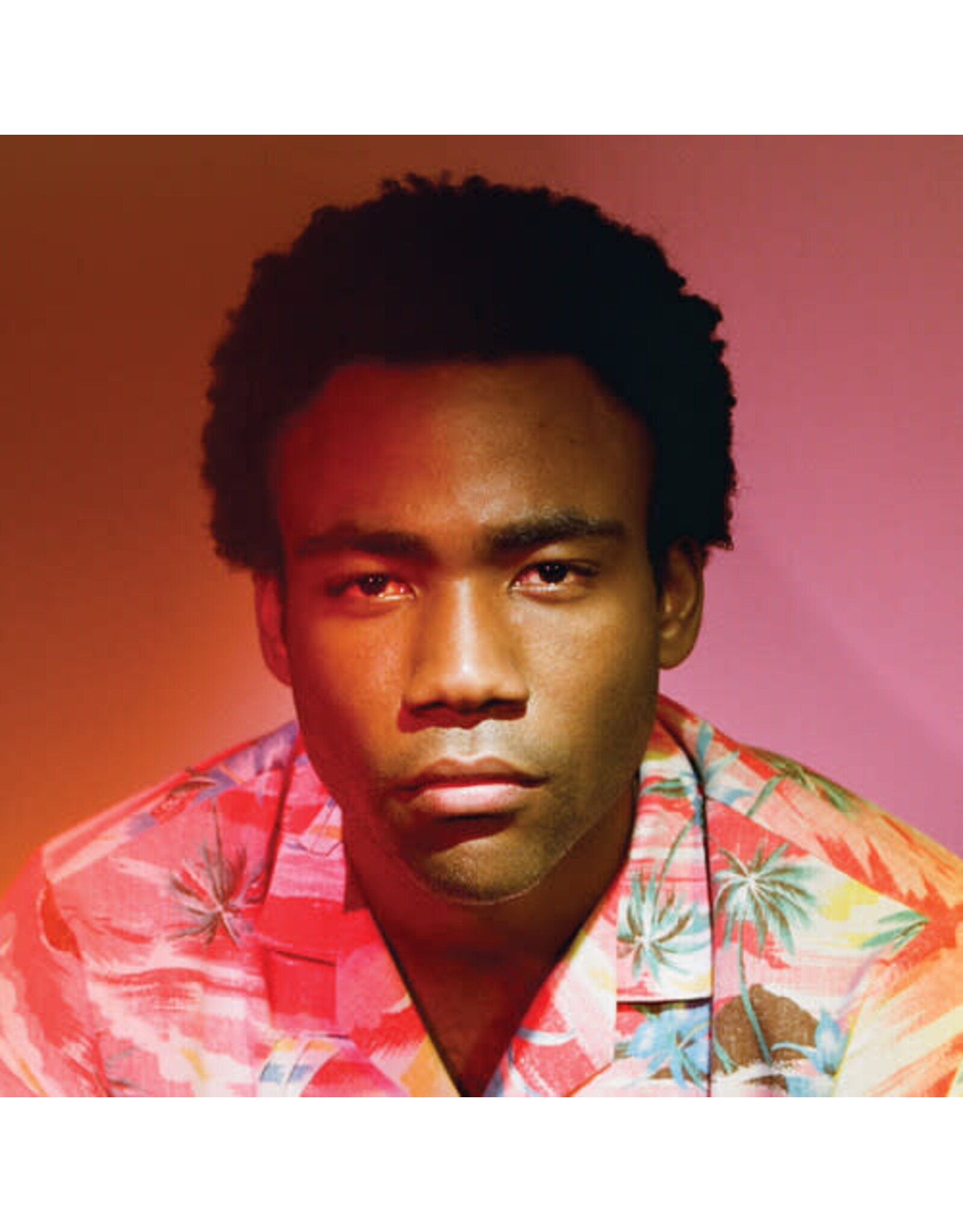 Childish Gambino / Because The Internet (2xLP 180g)