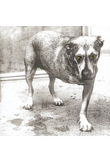 Alice In Chains / Alice In Chains (highlighter yellow vinyl)