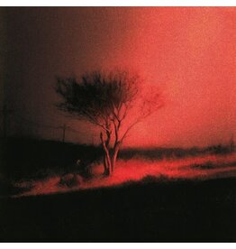 Joji / Piss In The Wind