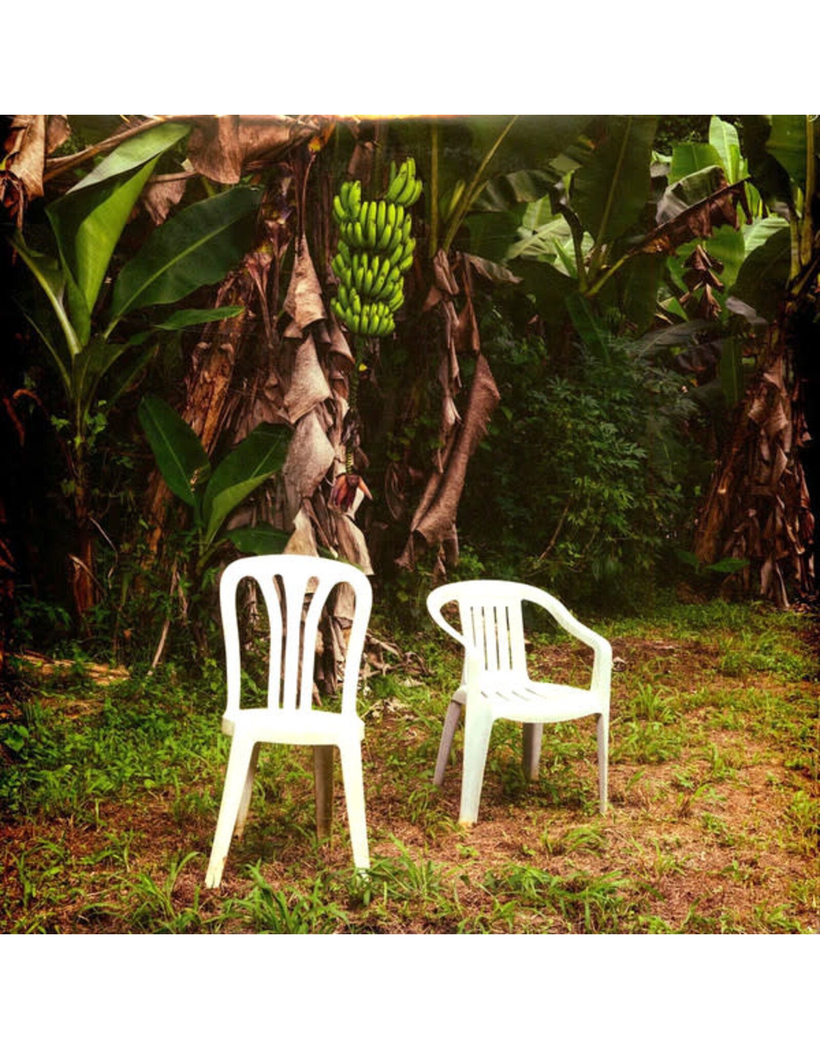 Bad Bunny / Debí Tirar Más Fotos (white vinyl)