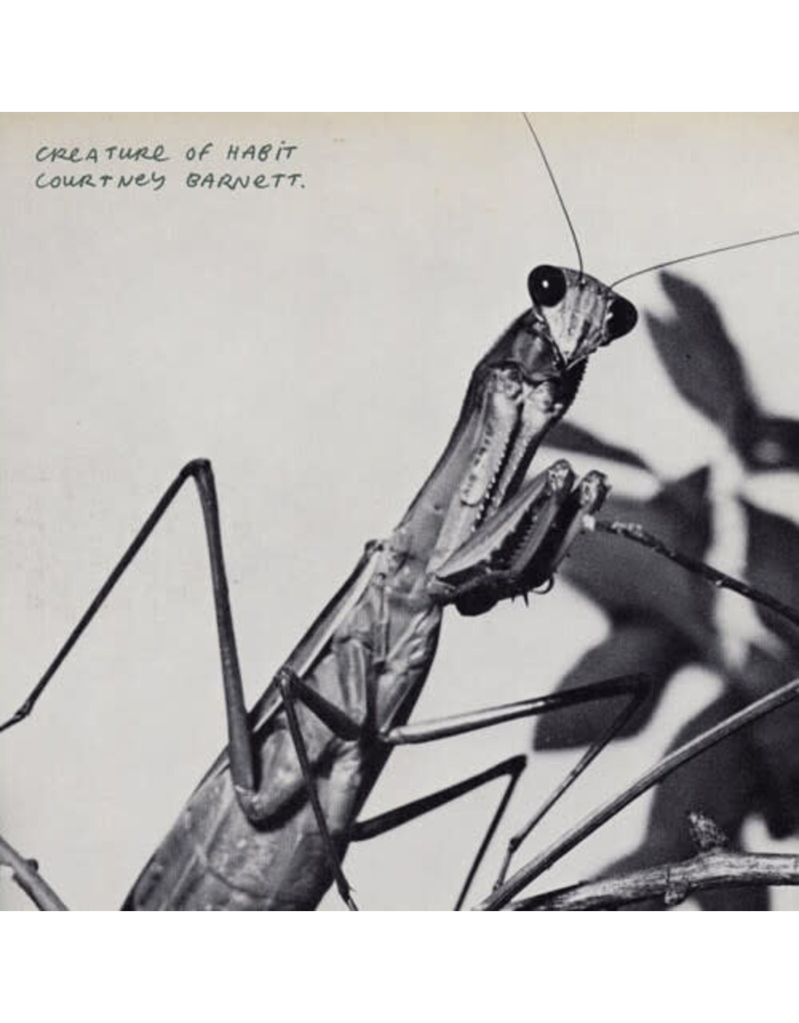 Barnett, Courtney / Creature Of Habit