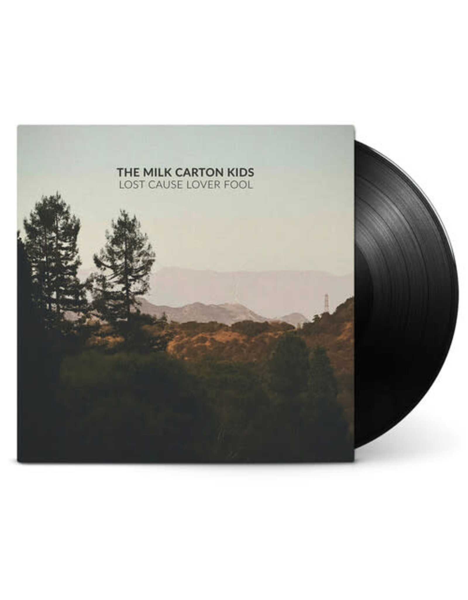 Milk Carton Kids / Lost Cause Lover Fool