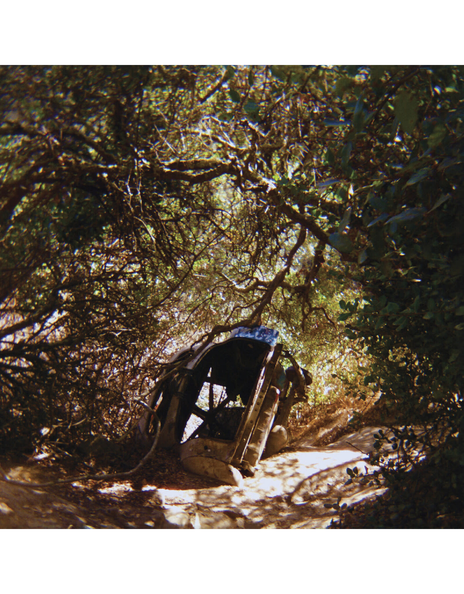 Segall, Ty / Possession