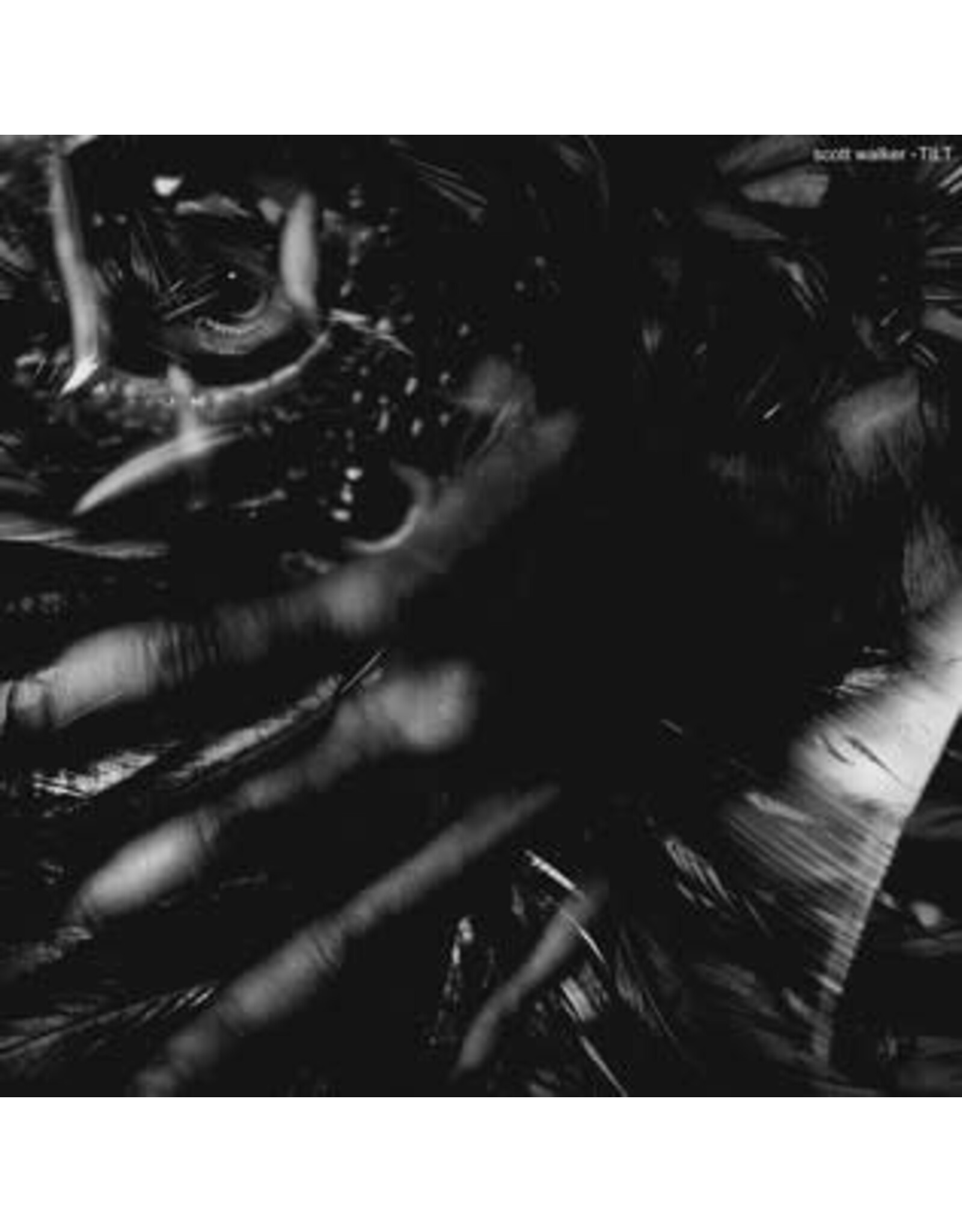 Walker, Scott / Tilt