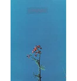 Newsom, Joanna / Joanna Newsom & The Ys Street Band EP