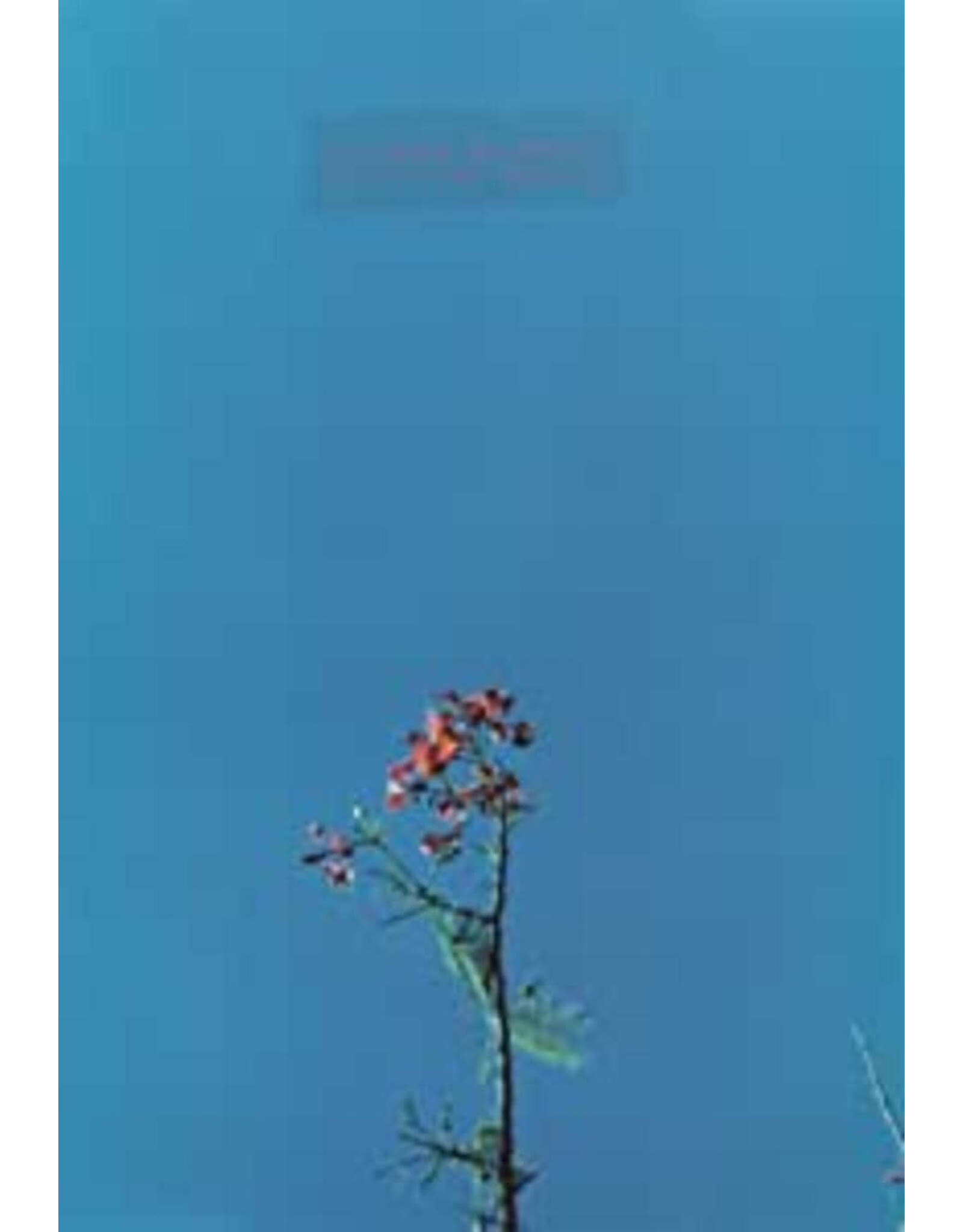 Newsom, Joanna / Joanna Newsom & The Ys Street Band EP