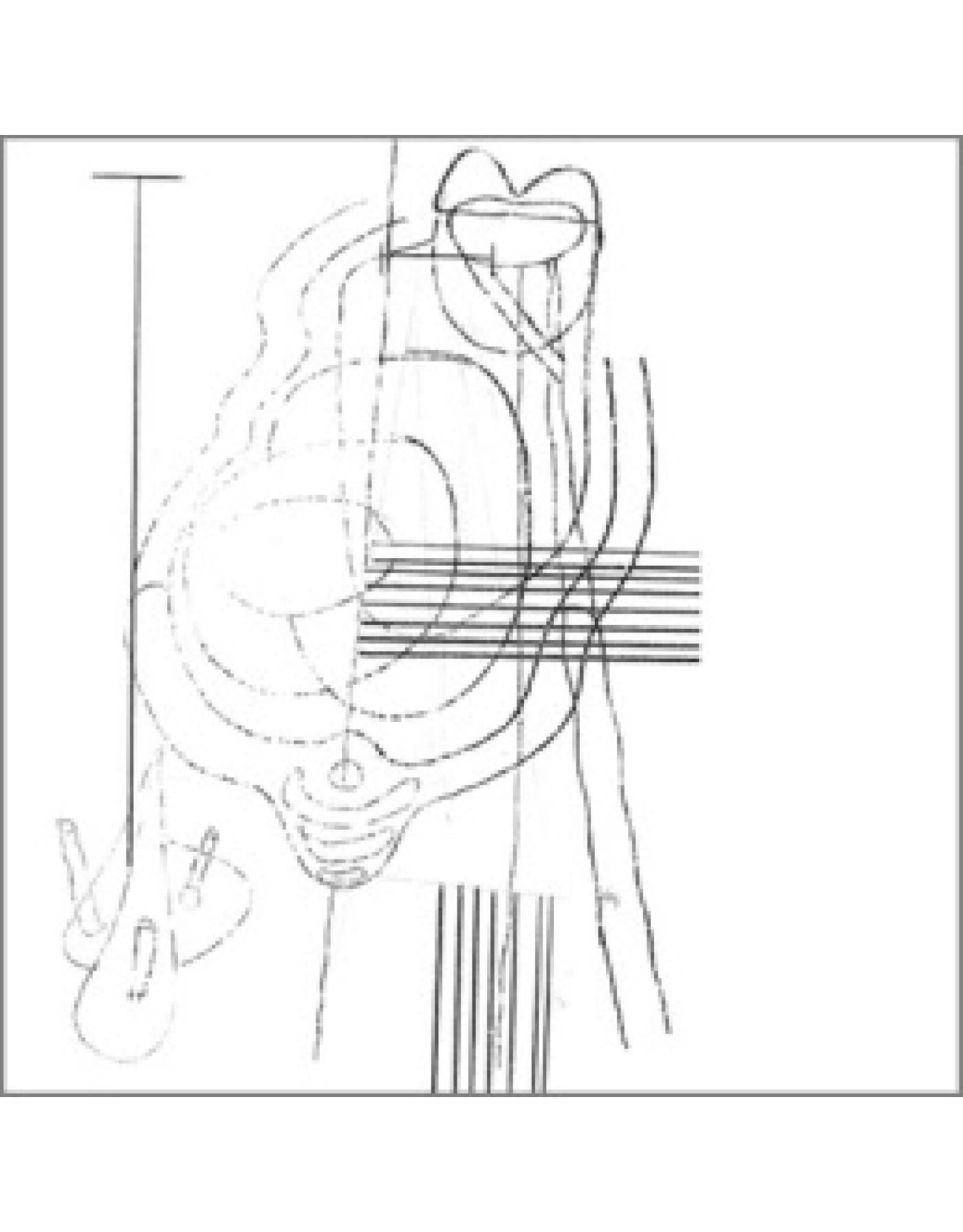 Gastr Del Sol / Camoufleur