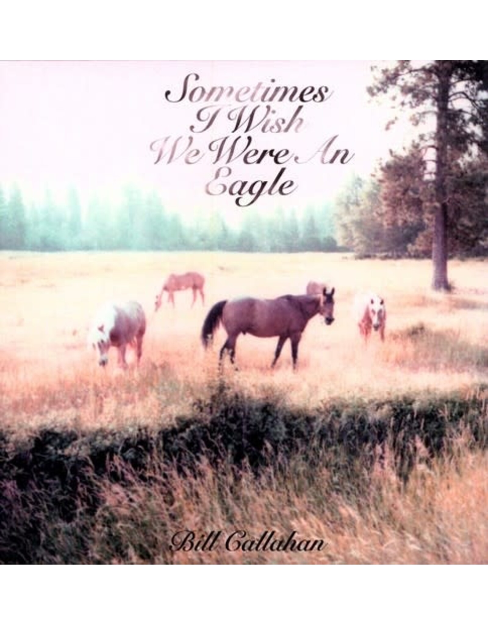 Callahan, Bill / Sometimes I Wish We Were An Eagle