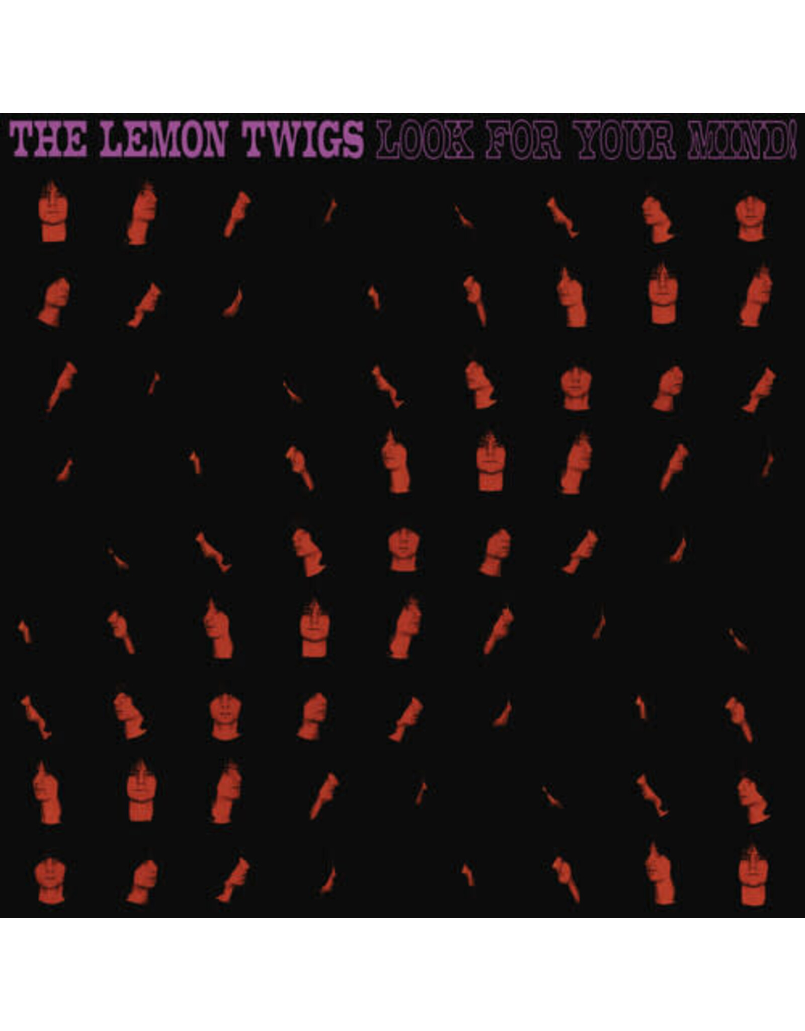 Lemon Twigs / Look For Your Mind!