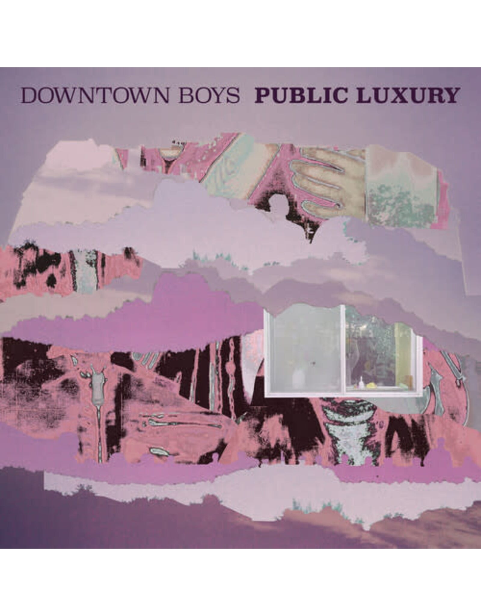 Downtown Boys / Public Luxury (Loser Edition)