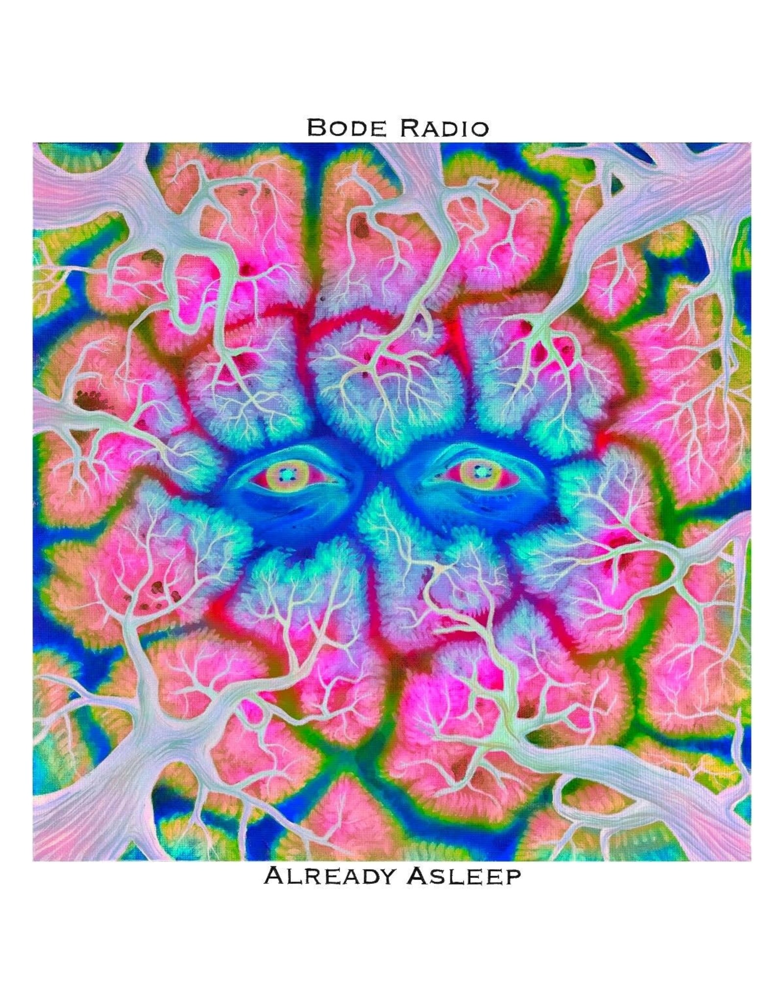 Bode Radio / Already Asleep