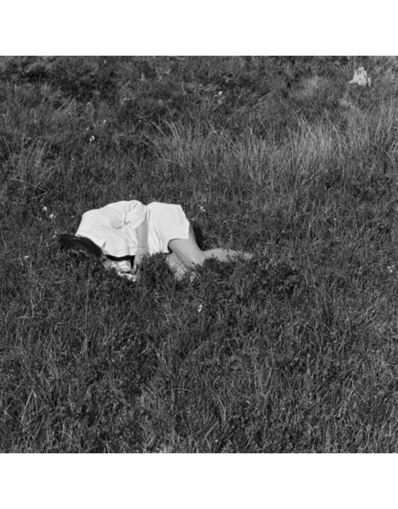 Winder-Lind, Nina / Wild Love