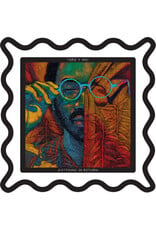 Toro Y Moi / Anything In Return