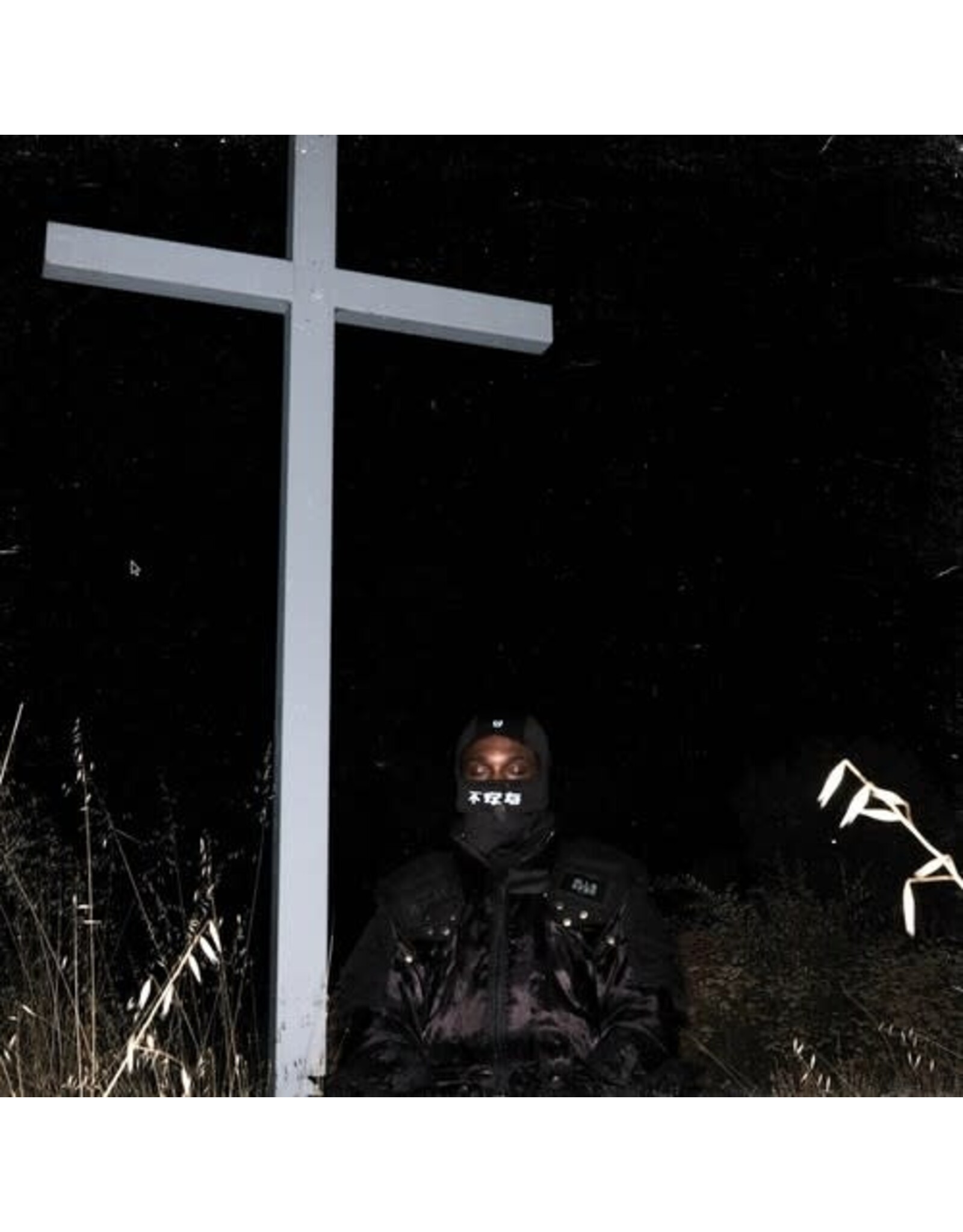 JPEGMAFIA / I Lay Down My Life For You (graphite color vinyl)