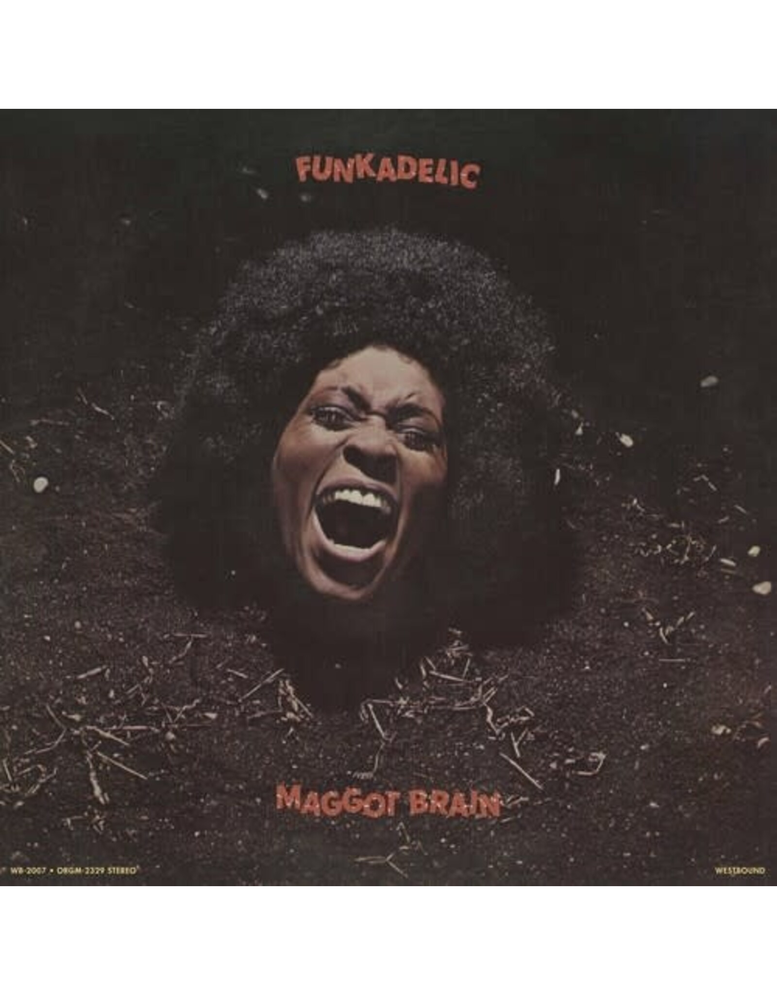 Funkadelic / Maggot Brain