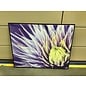 26x33” Wall Art/Yellow & Purple Flower picture 9/11/23