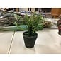 9 1/2” Small potted artificial plant 2/13/24