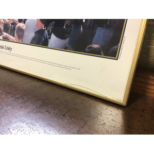 32x24” Framed Irish Unity Game of the Century poster - small crack in glass 7/8/26