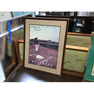 25x31” Framed Irish Baseball poster 7/8/26