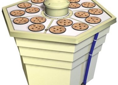 Anuway Hydroponics Anuway Hydroponics