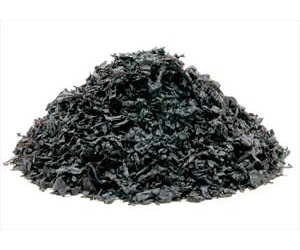 how long does tobacco stay in your pee How Long Does Nicotine Stay in Your System?